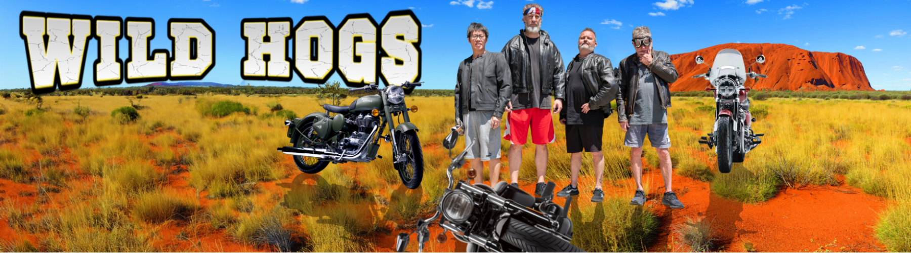 Wild Hogs