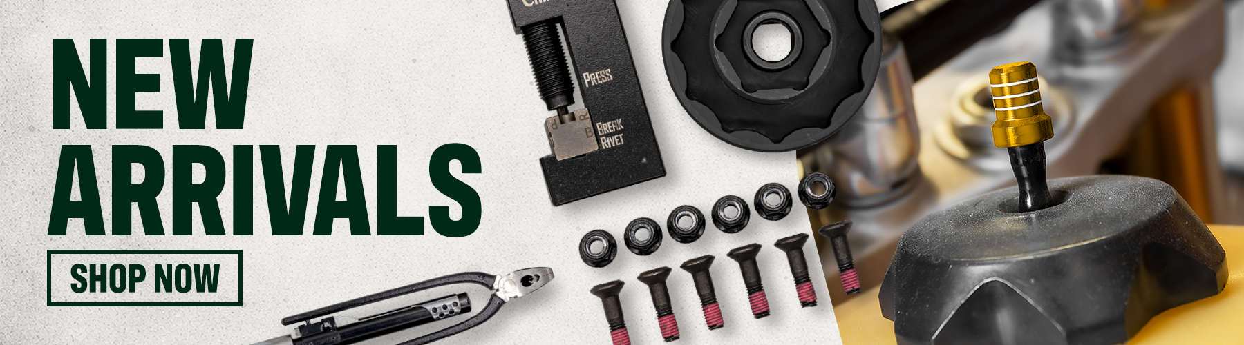 MCS Newsletter Feb 26 New Arrivals