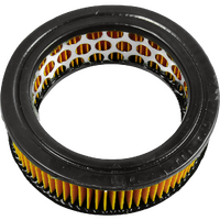 AF5 - TRIUMPH AIR FILTER