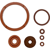 BCS2A - BRAKE CLEANER SPRAYER SEAL KIT*