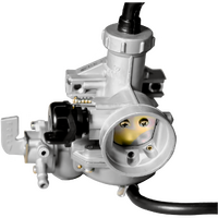 CARB110 - CARBY COMPLETE CT110