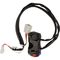 CS13 - COMBINATION / INDICATOR SWITCH ASSEMBLY EURO