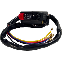 CS15 - UNIVERSAL EURO START-STOP SWITCH**