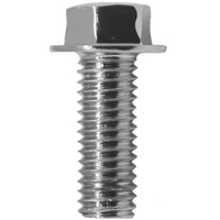 CSY1 - SIDE COVER SCREWS 6 X 20  (10/BAG)*