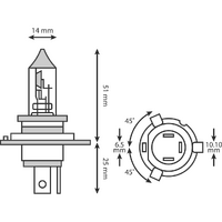 EH300 - HALOGEN 12V 35/35W HS1 PX43T BULB