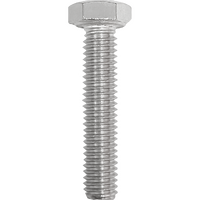 HBS630 - HEX BOLT STAINLESS STEEL 6MM X 30MM (25/BAG)