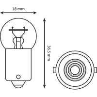 HL1610 - INDICATOR BULB 6V 10W (10/BOX)