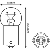 HL1623B - INDICATOR BULB SML HEAD 12V 21W (10/BOX)