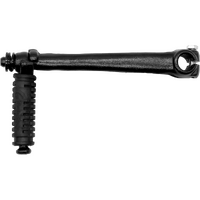 KS1 - KICK STARTER CT110