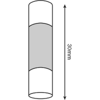 MF2-10 - 10AMP 30MM GLASS FUSE (10/PKT)