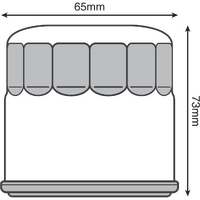 OF30C - FZR/YZF/XV/VFR/XL/ZZR/KLE FILTER CHROME(303C)