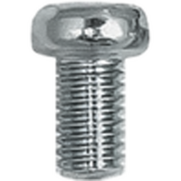 PS610 - PAN HEAD SCREWS 6 X 10MM (25/BAG)