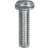 PS620 - PAN HEAD SCREWS 6 X 20MM (25/BAG)