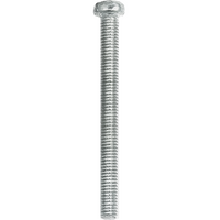 PS665 - PAN HEAD SCREWS 6 X 65MM (25/BAG)