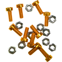 RH1AG - REGO LABEL HOLDER SCREW KIT GOLD*